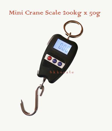 เครื่องชั่ง Digital Mini Crane Scale 200kg x 0.05kg (50g)