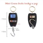 เครื่องชั่ง Digital Mini Crane Scale 200kg x 0.05kg (50g)